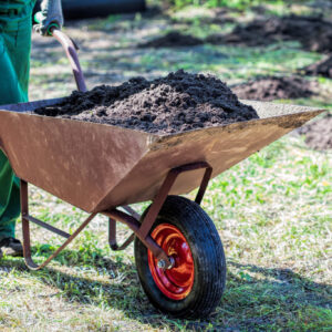Landscaping & Garden